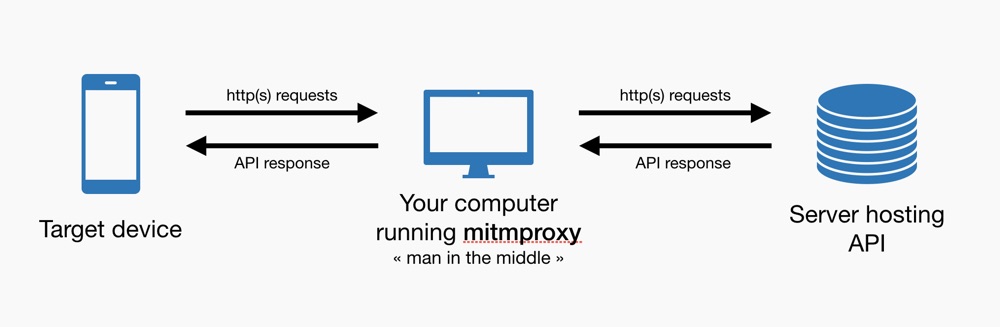 mitmproxy java